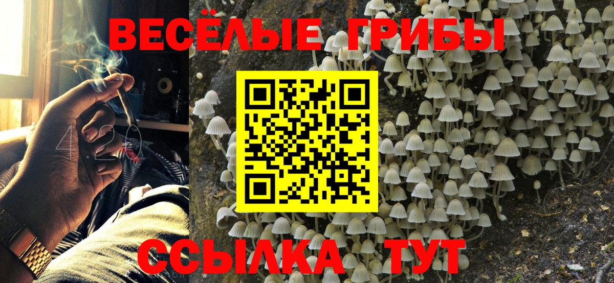 Галлюциногенные грибы MAGIC MUSHROOMS Зеленокумск